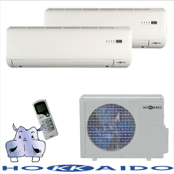 Climatizzatori Dual Split e Condizionatori Multisplit