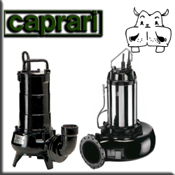 Caprari Elettropompe e sistemi per fognature