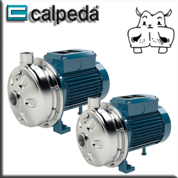 Calpeda - Elettropompe Monogirante in acciaio inox NMX AISI304 -NMXL AISI316