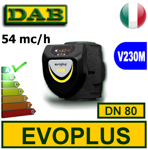 Circolatore elettronico Dab Evoplus DN80 2