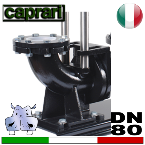 Accoppiamento rapido Caprari per elettropompe DN80