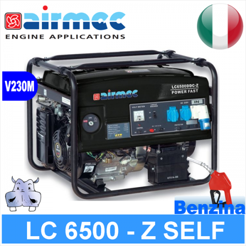 Generatore Gruppo Elettrogeno a benzina LC6500DDC 5KW 5000W avviamento elettrico versioni con e senza ATS 2