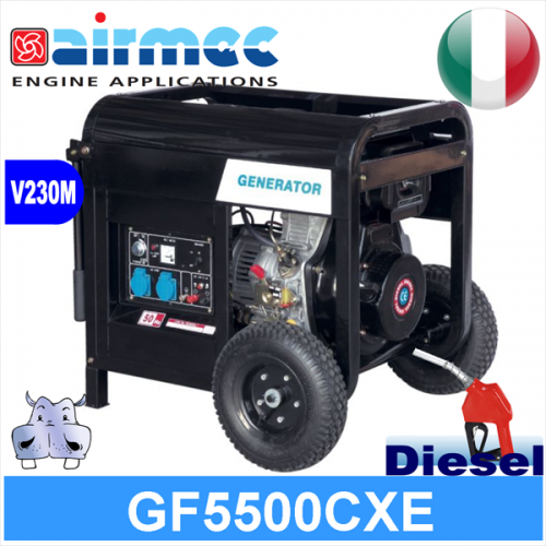 Generatore Gruppo Elettrogeno a diesel GF5500CXE 4,5KW 4500W avviamento elettrico 3