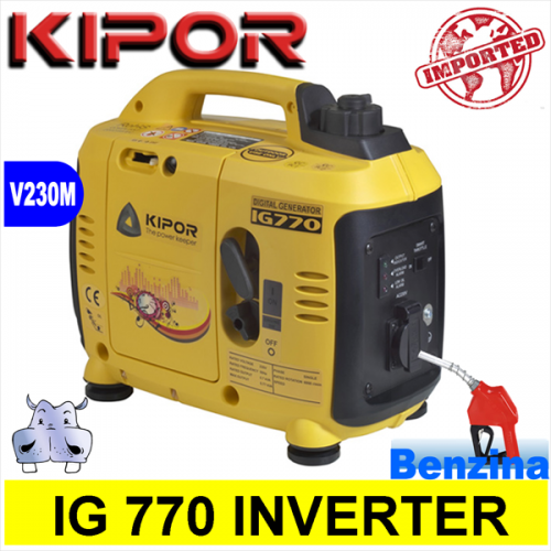 Generatore di corrente Gruppo Elettrogeno inverter a benzina, IG 770 0,55KW 550W