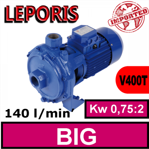 Elettropompa Leporis BIGIRANTE 100:200 (T)