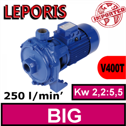 Elettropompa Leporis BIGIRANTE 300:750 (T)