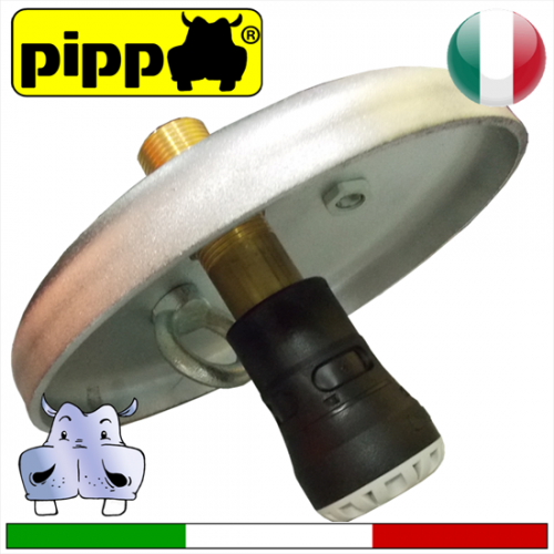 Pippo, Tappo in acciaio per pozzi 4