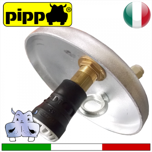 Pippo, Tappo in acciaio per pozzi 5