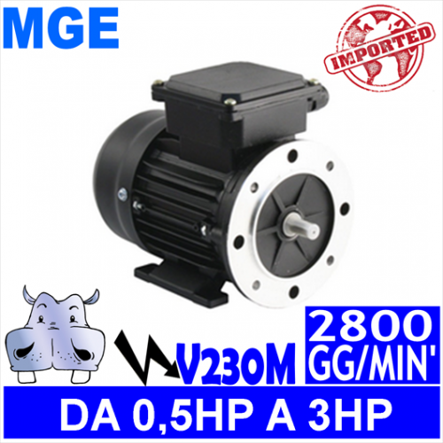 MGE - Motori elettrici V230M 2 POLI 2800 GG.MIN Forma B3.B5