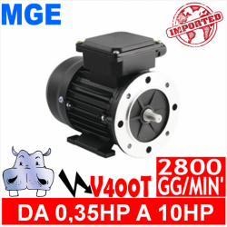 MGE - Motori elettrici V400T 2 POLI 2800 GG.MIN Forma B3.B5 - Serie Alluminio