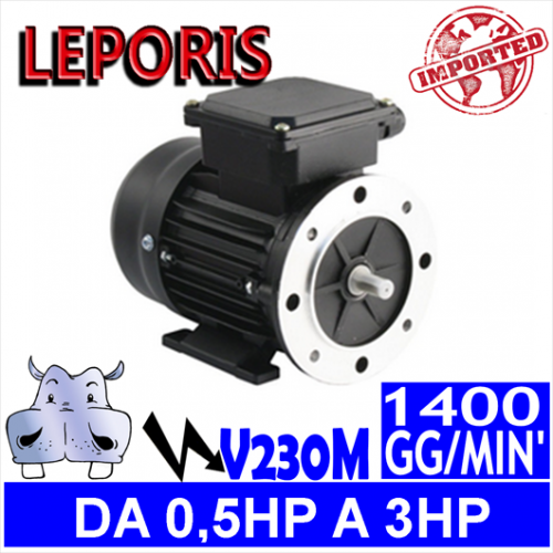 Leporis - Motori elettrici V230M 4 POLI 1400 GG.MIN Forma B3.B5