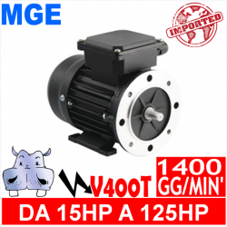 MGE - Motori elettrici V400T 4 POLI 1400 GG.MIN Forma B3.B5 - Serie ghisa