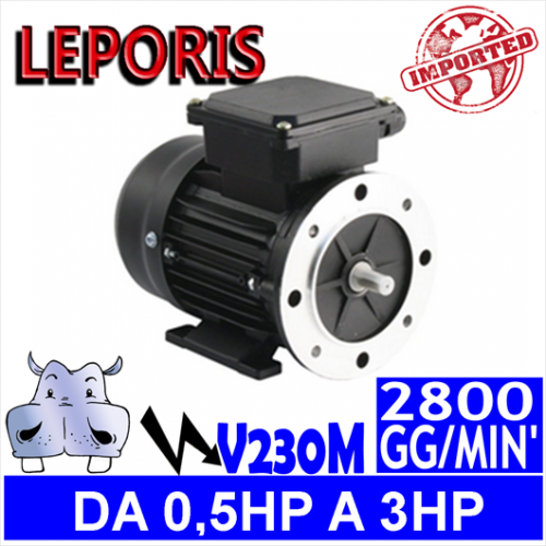 Leporis - Motori elettrici V230M 2 POLI 2800 GG.MIN Forma B3.B5