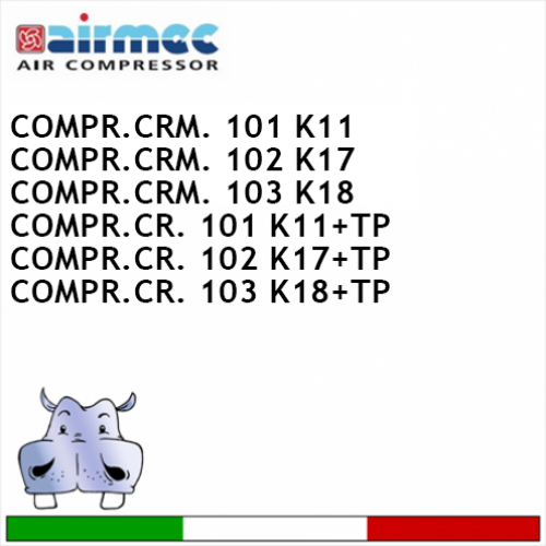 Compressore Airmec monostadio 100 LT