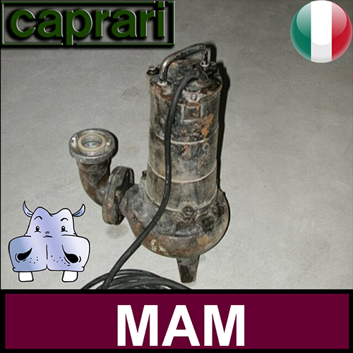 Pos.01 Caprari Elettropompa pompa Sommersa per fognature MAM 2