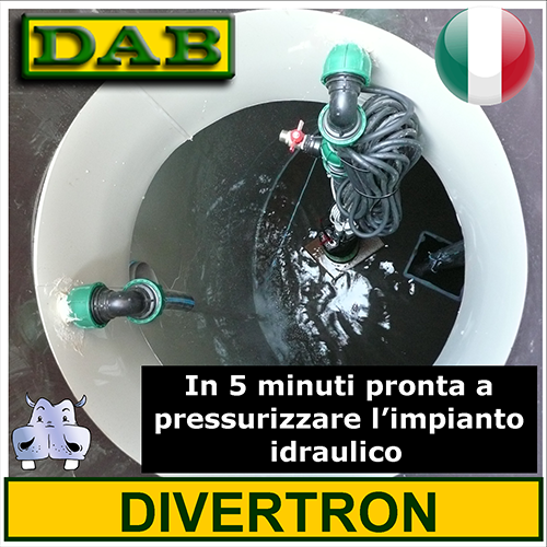 Dab Elettropompa Automatica Divertron 6