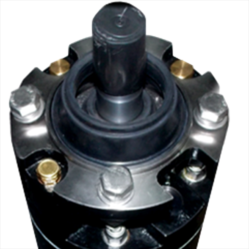 Caprari - Motori MAC 8 ST 2