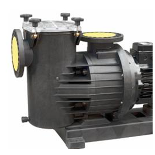 Pos.06 Espa Elettropompa per piscine S3 MAGNUS 2