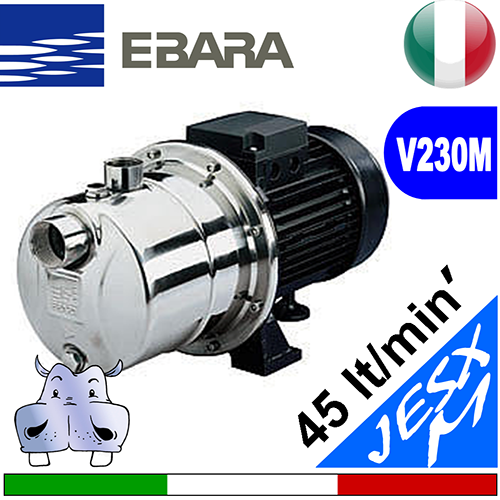 Elettropompa Autoadescante Ebara JESX M