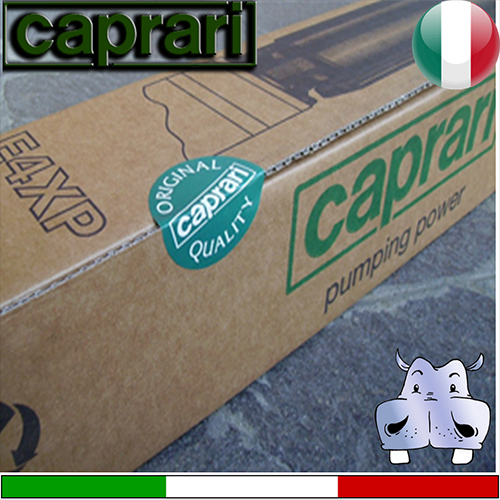 Caprari - Elettropompa sommersa completa E4XED(PD)25+MC....M-T DESERT LINE 2