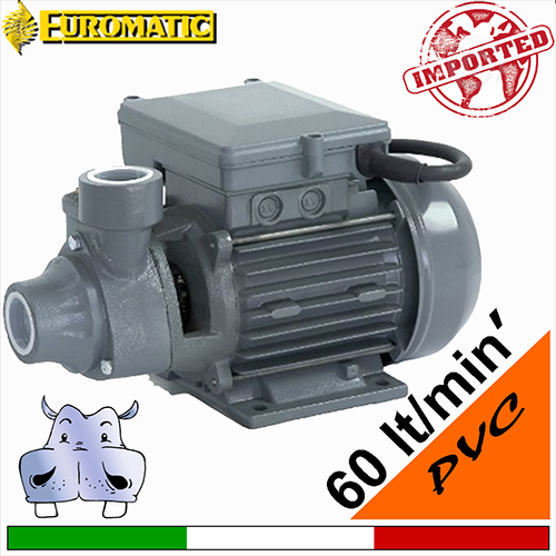 Elettropompa periferica Euromatic PVC