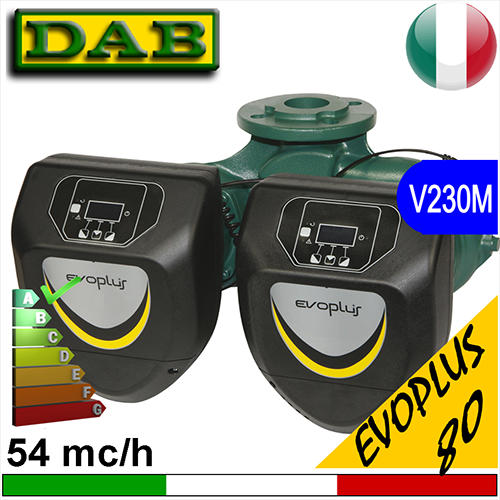 Circolatore gemellare elettronico Dab Evoplus D (doppio) DN80
