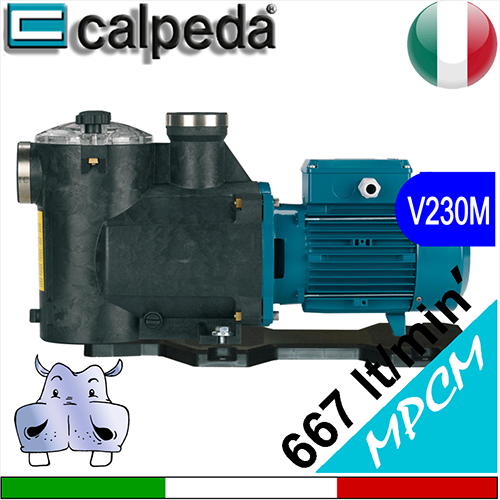 Calpeda - Elettropompa mod. MPCM da 667 litri minuto, per piscine di medie dimensioni