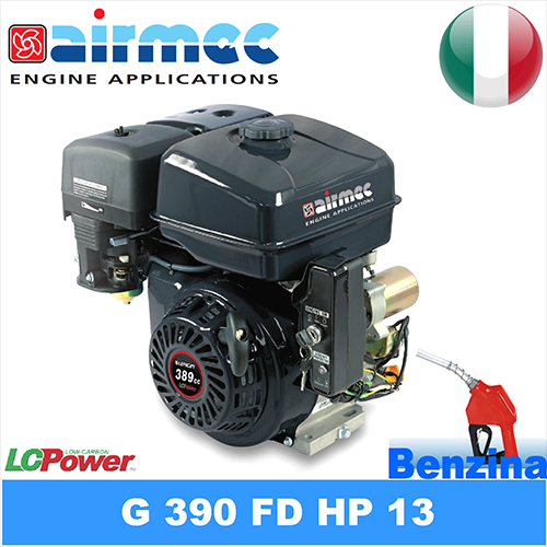 Motore a benzina G 390FD HP 13