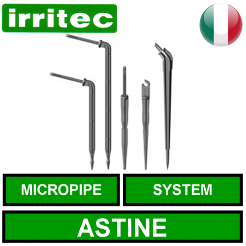 Astine per microtubo