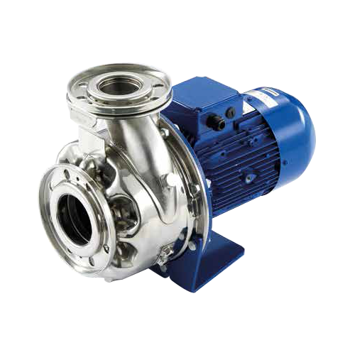 Lowara Elettropompa normalizzata inox ESHE 40 (idraulica in acciaio inox AISI316) 2