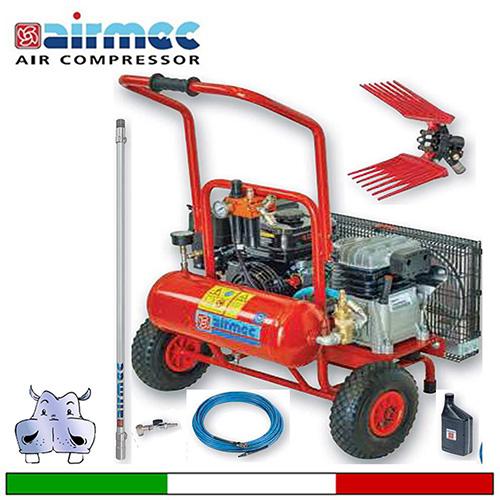 Kit Airmec Easy 260 10LT - Motocompressore completo di un abbacchiatore