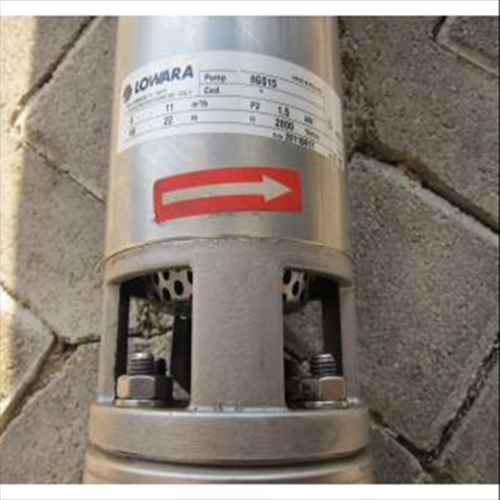 Lowara Elettropompe Sommerse complete 2GS - L4C watercooled alimentazione elettrica monofase 230Vac 3