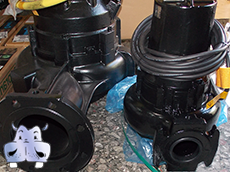 water_pumps_speroni_lowara