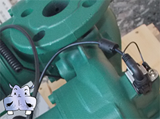 dab store water pumps
