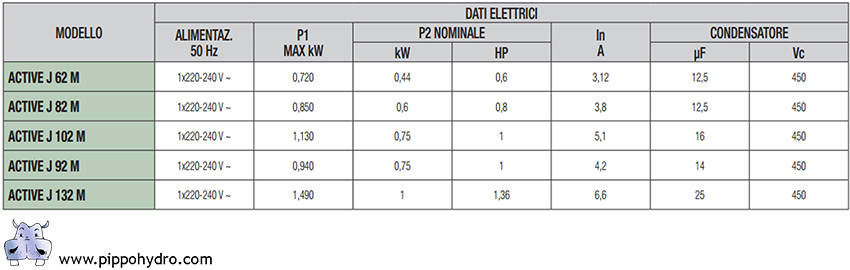 pompa automatica produzione dab distribuzione ufficiale pippohydro