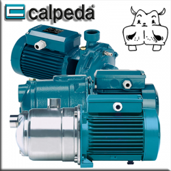 Elettropompa Lowara BGM5 - 0,75 HP Monofase, Autoclave, Prevalenza 40m, Portata 60 L/min - Foto 4