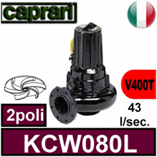 Pompa per acque luride con girante vortex anti intasamento elettropompa sommersa caprari 1400 giri professionale elettropompa sommersa caprari listino prezzi offerta sottocosto prezzo migliore pippohydro