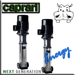 POMPE VERTICALI PER ACQUA CAPRARI caprari pompa verticale - irrigazione acqua pompa serbatoio