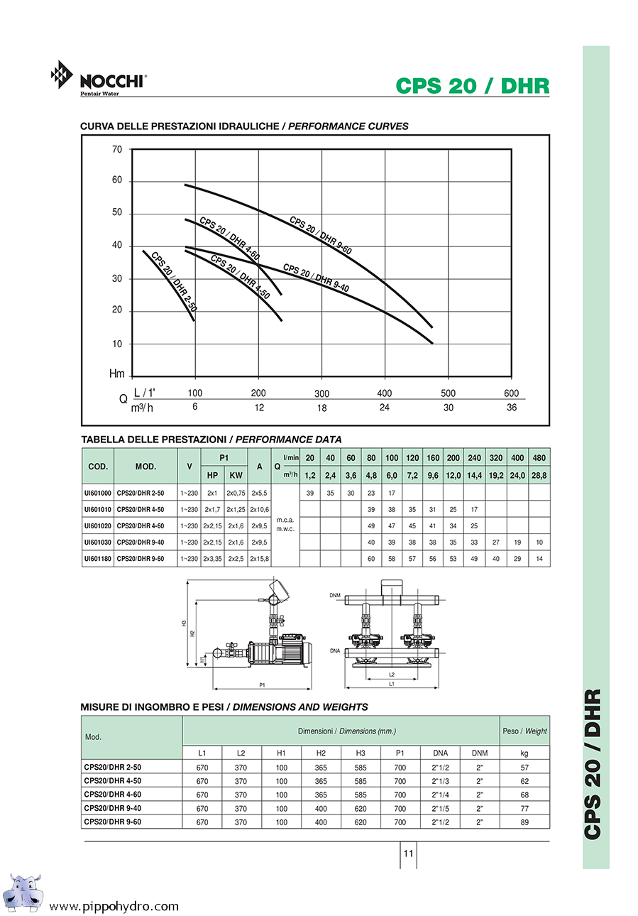 inverter pompa cps nocchi pentair water