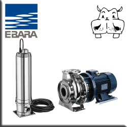 ebara pumps - popa autoclave acqua casa - compara con xp water pumps - ebara compara con lowara co com 350