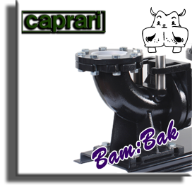 pompe sommergibili professionali caprari - immissione fognatura in rete pubblica - su pippohydro prezzi promozioni on-line