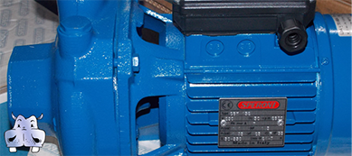 water_pumps_speroni_lowara