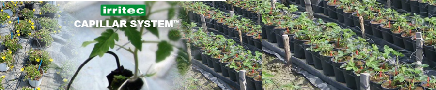 irrigazione_tubicini_capillari_Agricoltura_pianta