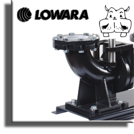pompe sommergibili professionali lowara - immissione fognatura in rete pubblica - pompa scarico acque scure prezzi pompe trituratrici vendita sommerse acque nere pompe sommerse acque nere confronta pompa acque nere fornitori di acque nere pompa scarico su pippohydro prezzi promozioni on-line