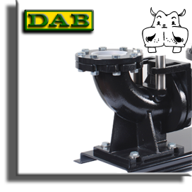 accoppiamento rapido per pompe sommergibili professionali dab - immissione fognatura in rete pubblica - pompa scarico acque scure prezzi pompe trituratrici vendita sommerse acque nere pompe sommerse acque nere confronta pompa acque nere fornitori di acque nere pompa scarico su pippohydro prezzi promozioni on-line
