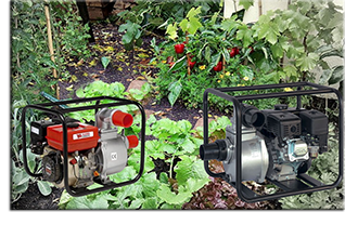 motopompa giardino irrigazione benzina o diesel miglior prezzo di vendita acquisto sicuro motopompa autoadescante a scoppio motopompa diesel 