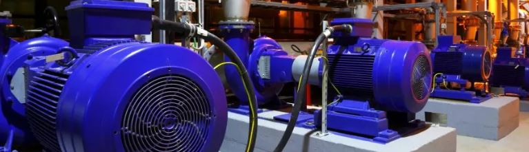 Motori Elettrici speroni