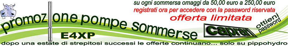 offerta prezzo promozionale su tutte le elettropompe sommerse caprari, pompe sommergibili per acque nere, pompe e immersione per acque nere con trituratore reflui offerta al miglior prezzo in italia e nel mondo