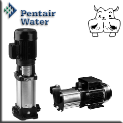 POMPE E SISTEMI PER ACQUA PENTAIR WATER NOCCHI pompa pentair water - pompa acqua