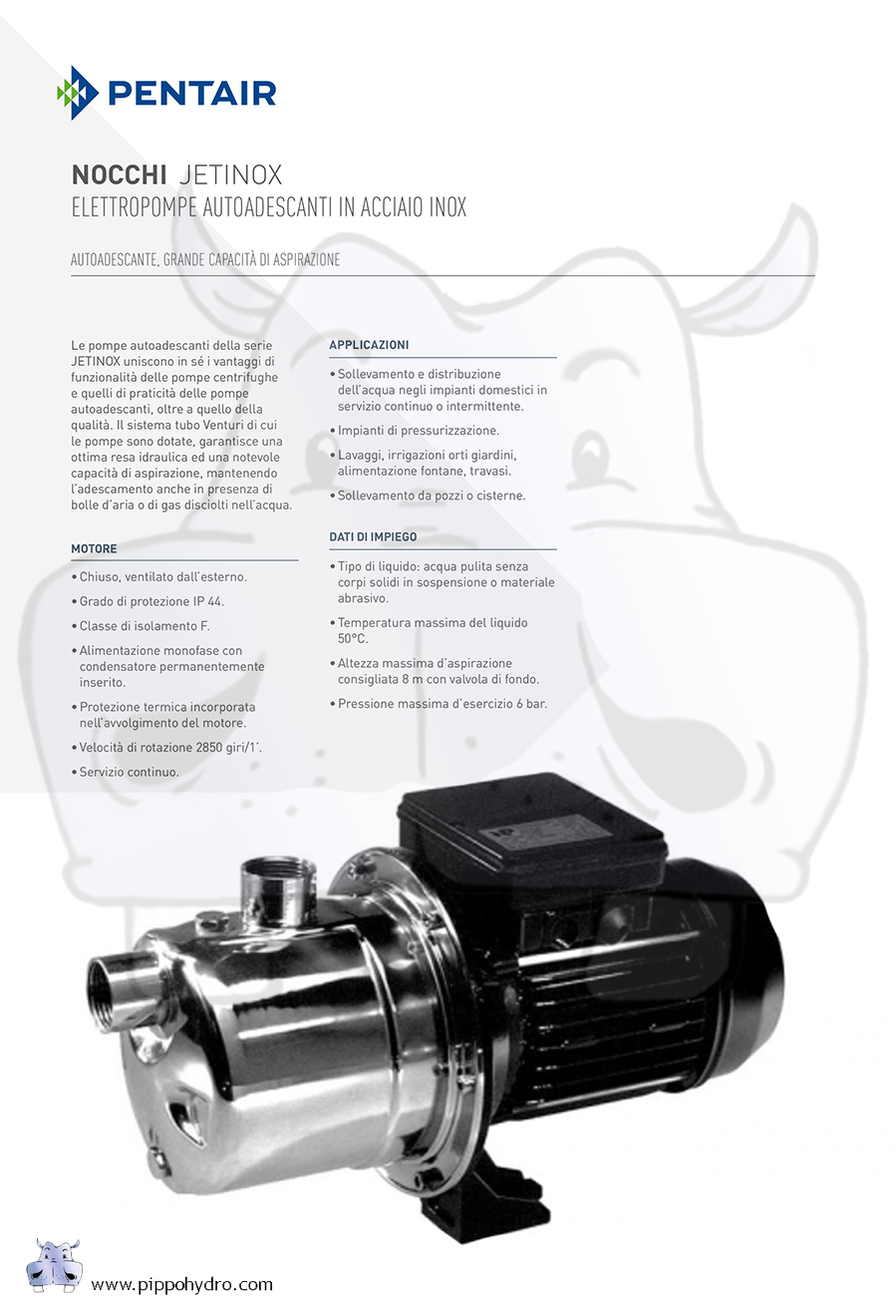 pompa pentair jet inox